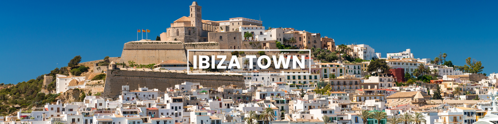 a blurred image of a city with the words ibiza town written on it
