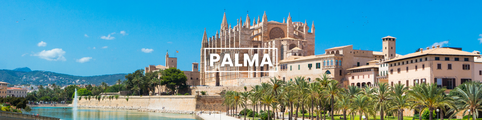 a large building with the word palma on it is surrounded by palm trees and a river .