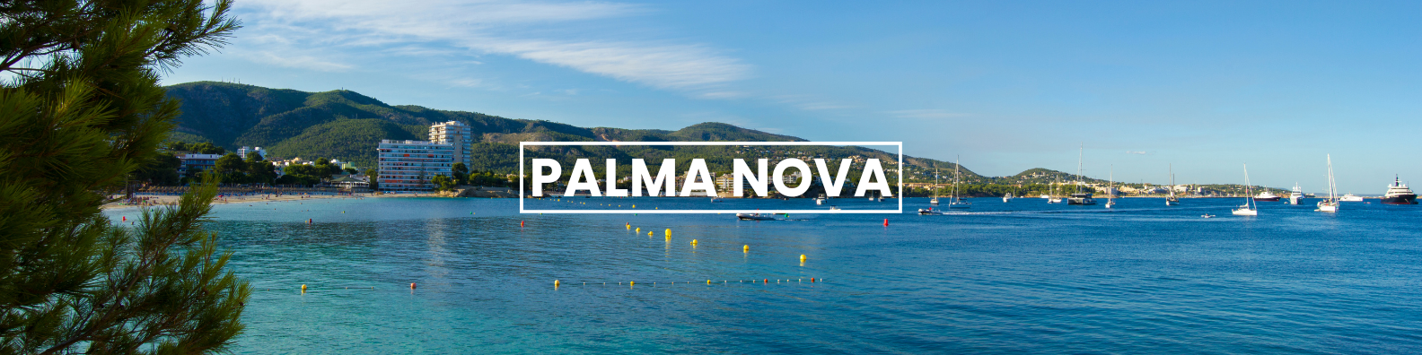 a blurred image of a body of water with the words palma nova written on it . Barter's Travelnet