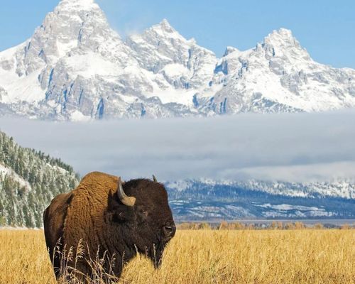 National Park Wonders