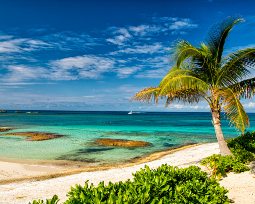 15 Nights Caribbean Cruise & Mexico