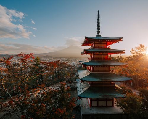 Barter's Tours Best of Japan Escorted Group Tour