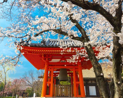 Japan in a Week
