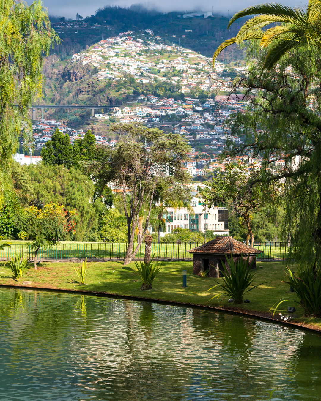Amazing Natural View of Santa Catarina Park in Funchal, Madeira Islands, Portugal - Madeira Holidays Barter's Travelnet