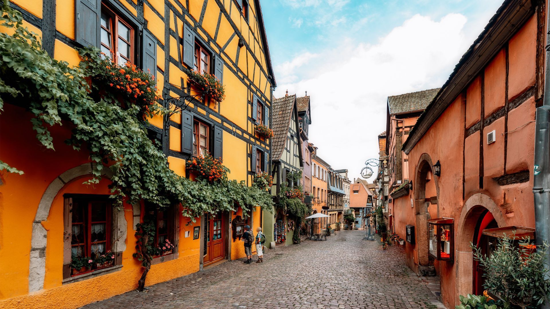 Cobblestone street lined with colorful, half-timbered buildings. Vines cascade over facades.