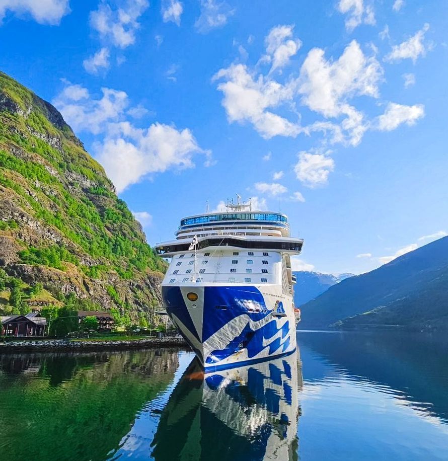 Princess Cruises,  Barter's Travelnet 