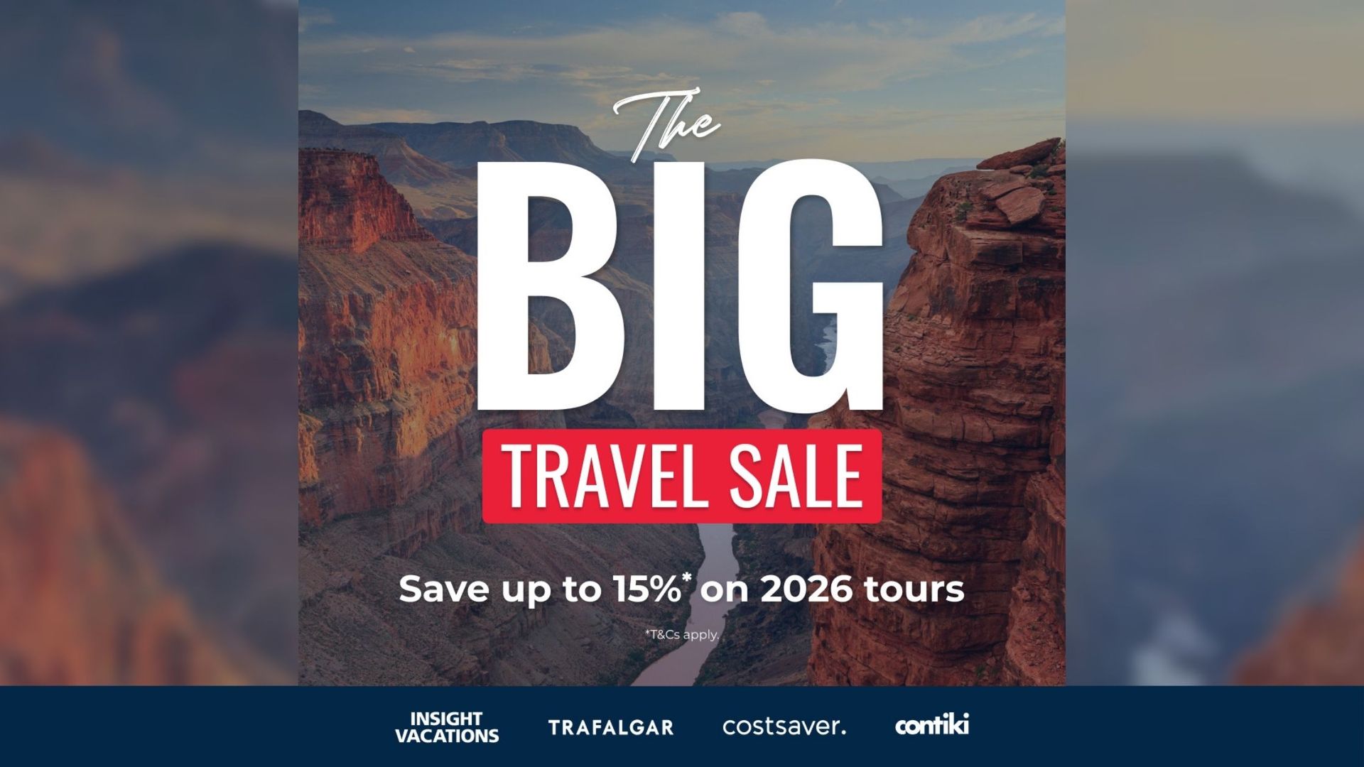 January sale ad with text 