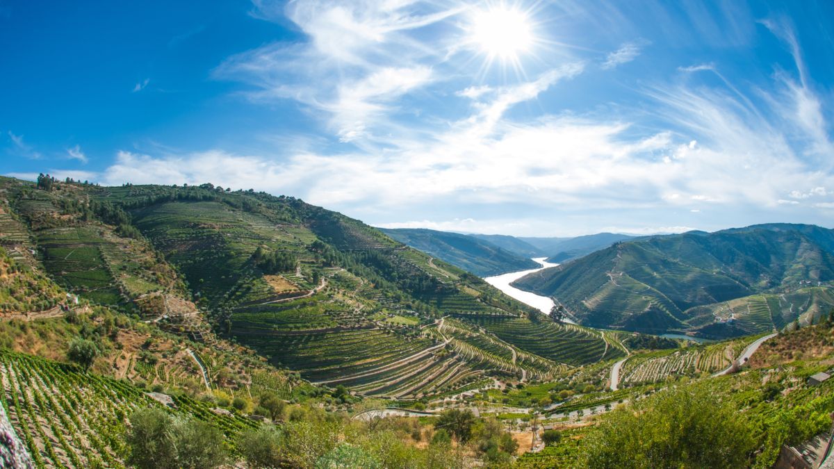 Douro River runs through a valley surrounded by mountains and trees Barters Travelnet