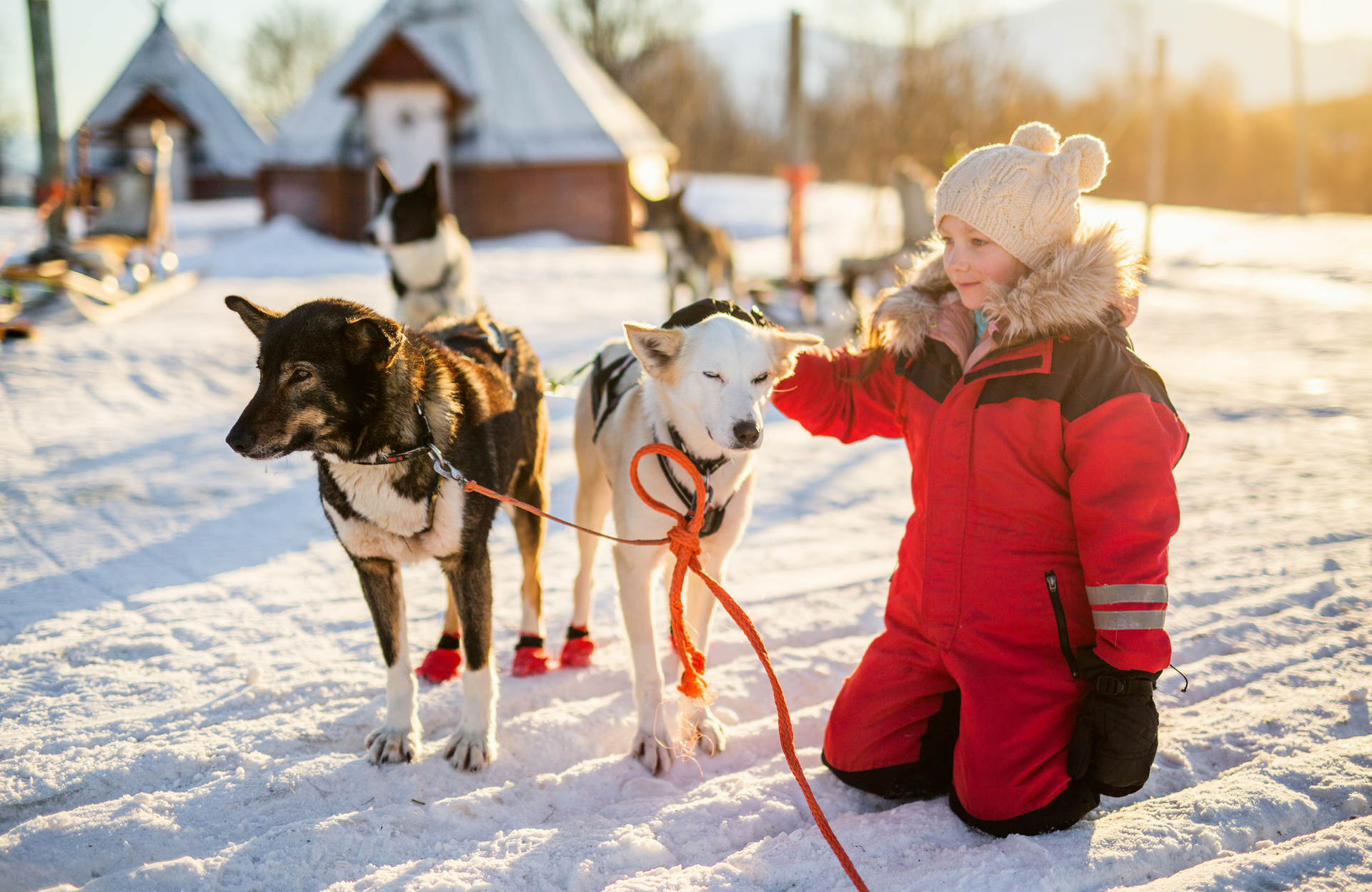Tips and Tricks for a Magical Lapland Holiday with Kids, Family with Huskys - Blog Post Barters