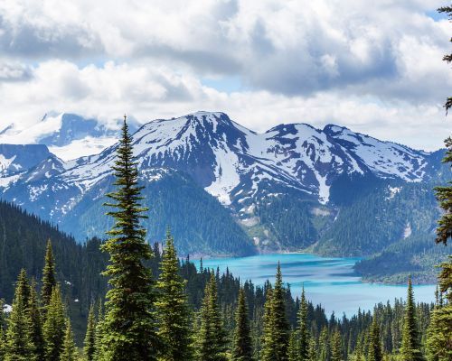 canadian mountains 
