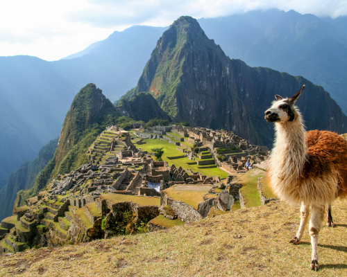 18 Nights Andes & South America - Majestic Princess