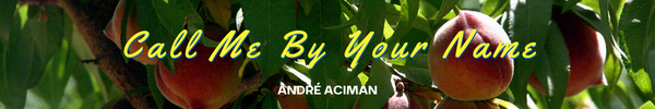 The banner of the book Call Me By Your Name by Andre Aciman - Blog Post Barters Travelnet