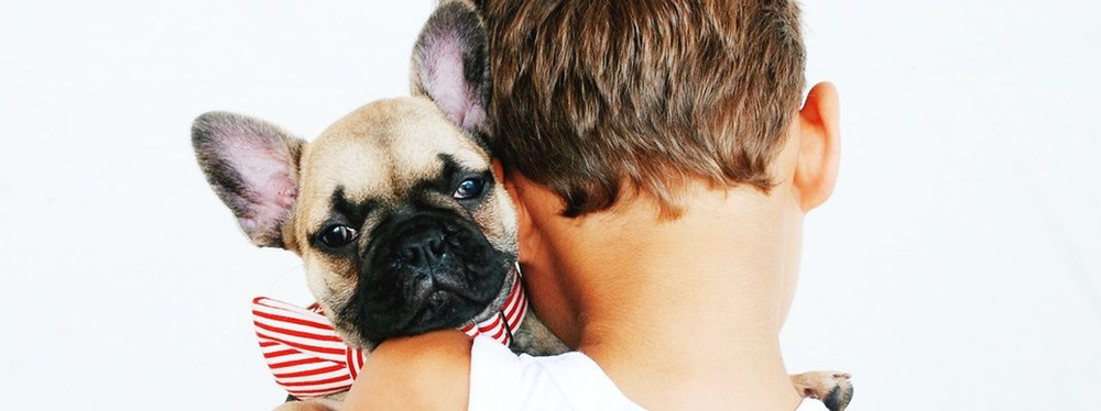 Kid hugging a French Bulldog The Ultimate Guide to Travelling with Pets Airline Fees and Policies - Blog Post Barters Travelnet