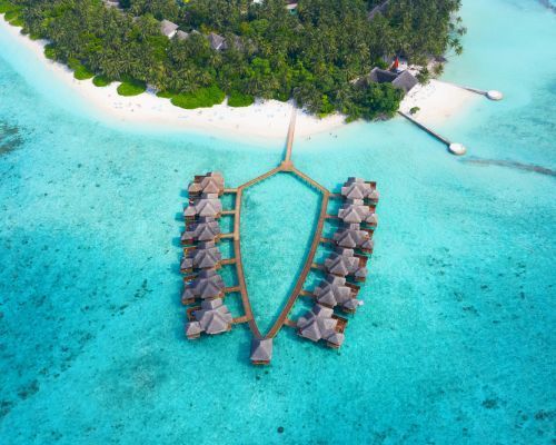maldives
