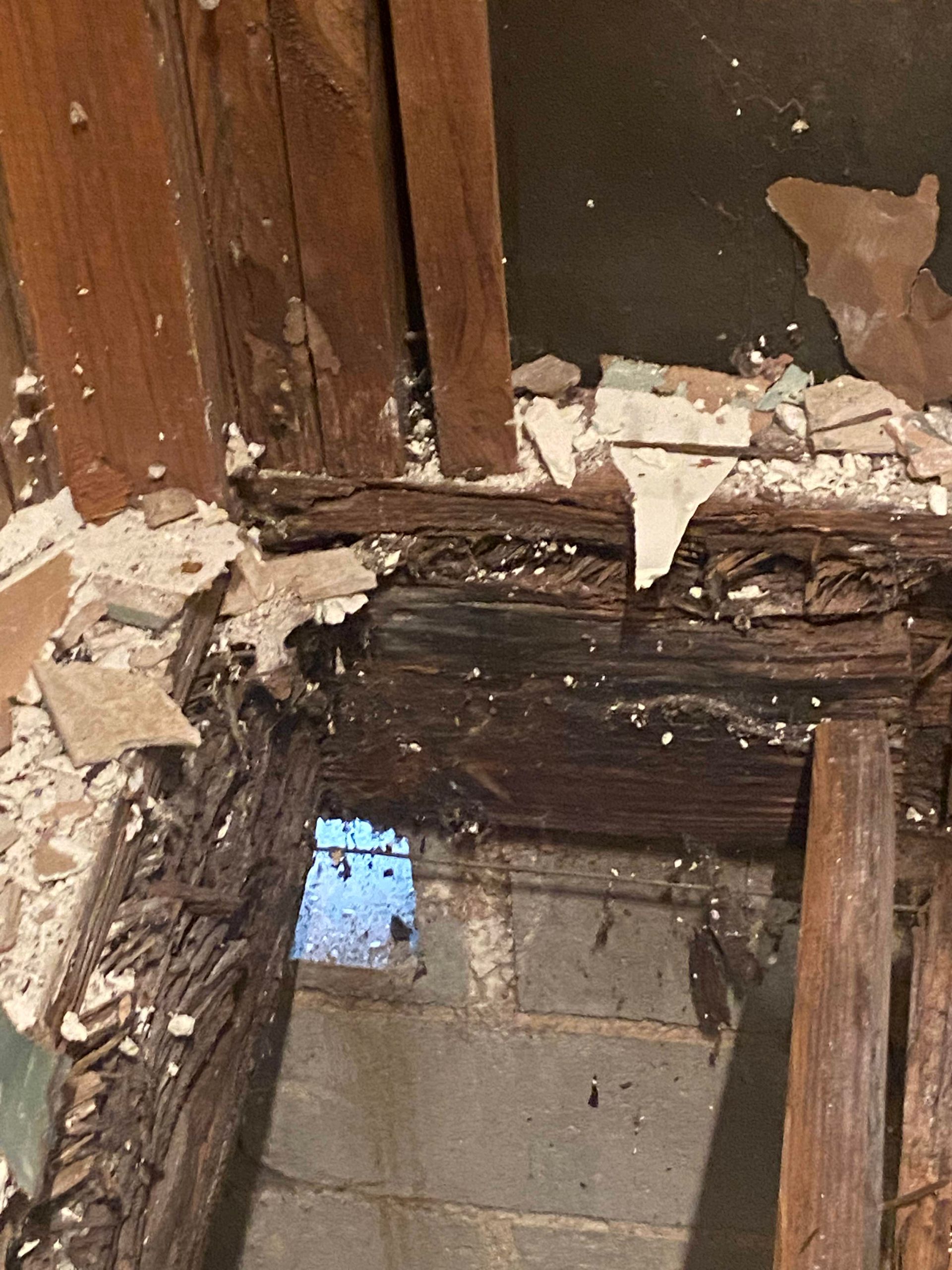 Severe wood rot in a basement ceiling, exposing beams and concrete blocks.