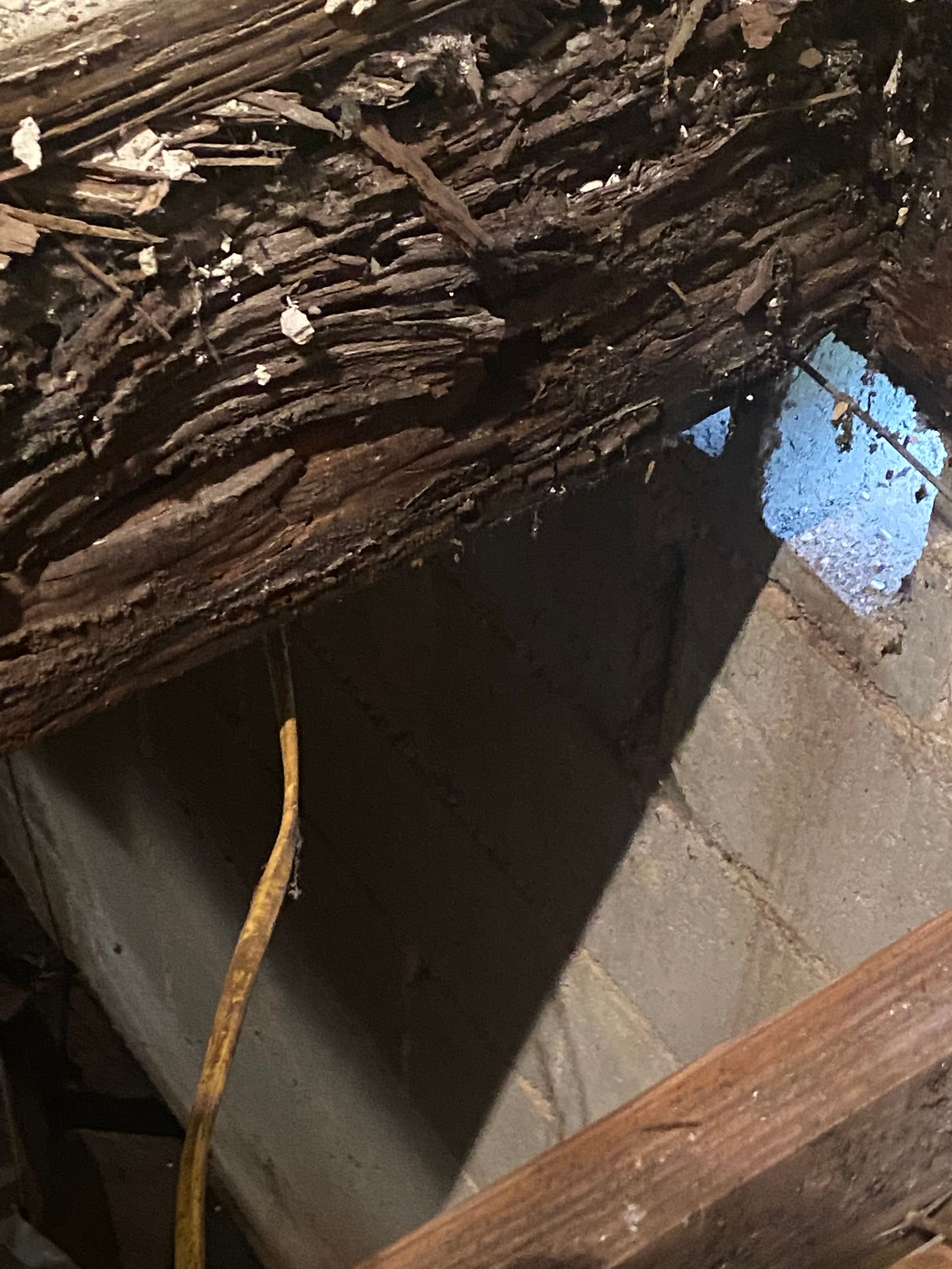 Rotting wood beam in a dark space, with a light-filled opening visible. Electrical wire hangs.