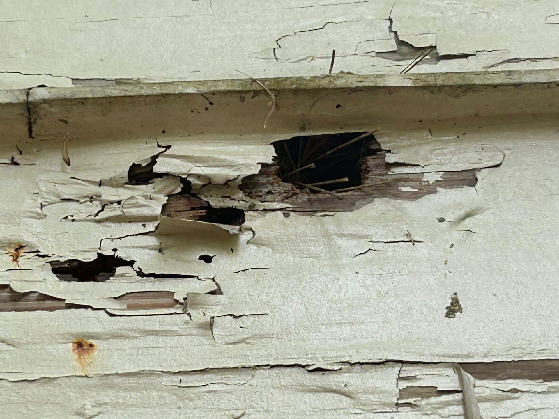Damaged, peeling paint on wooden siding with a dark hole, showing signs of rot.