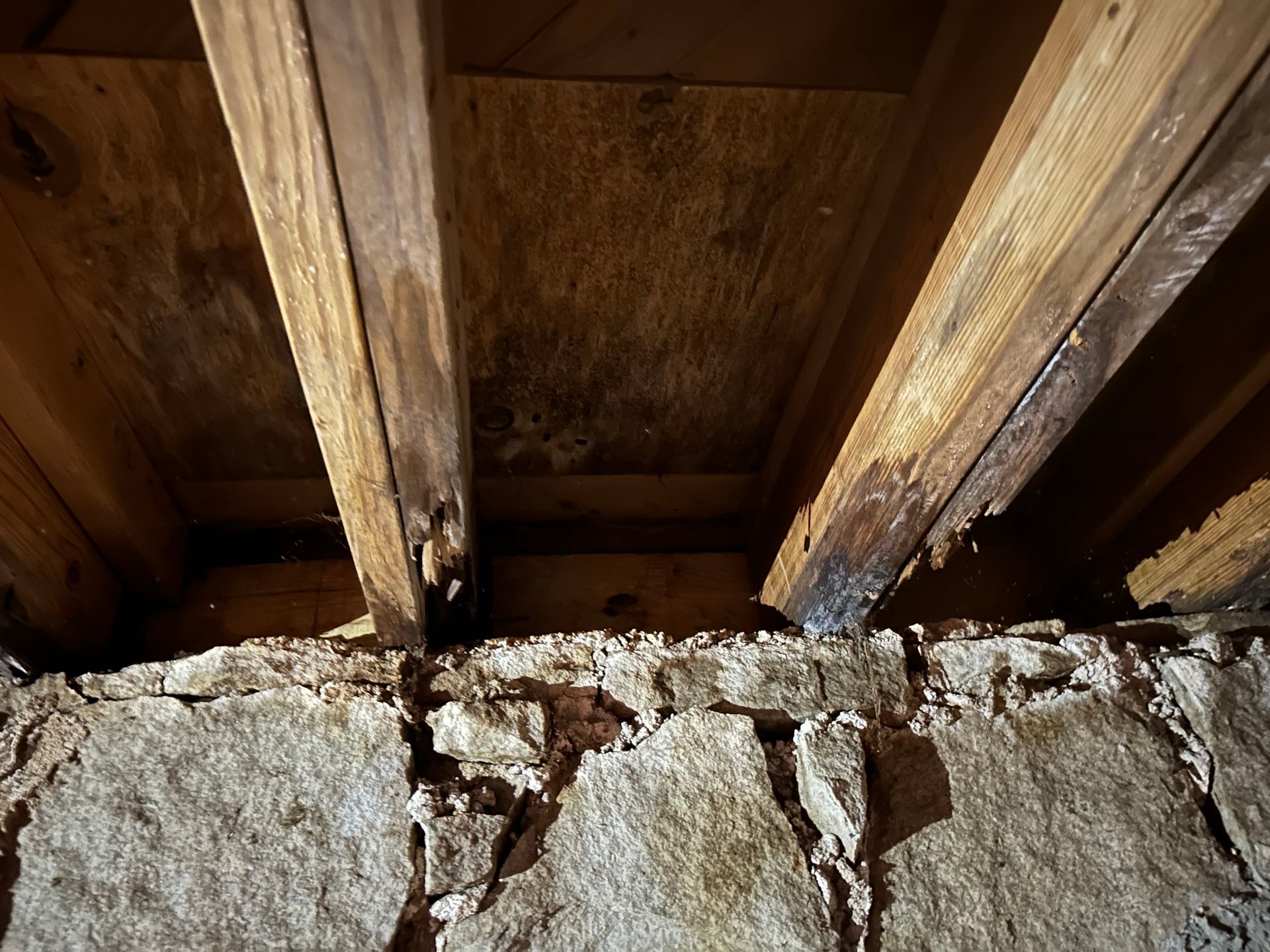 Wooden ceiling beams with visible mold on plywood, set above a stone foundation.