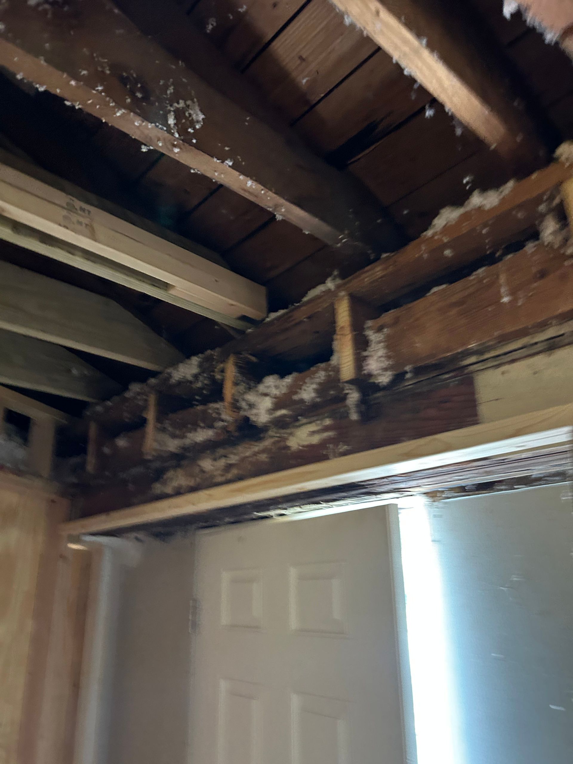 Exposed ceiling beams with insulation; a doorway and white door are visible below.