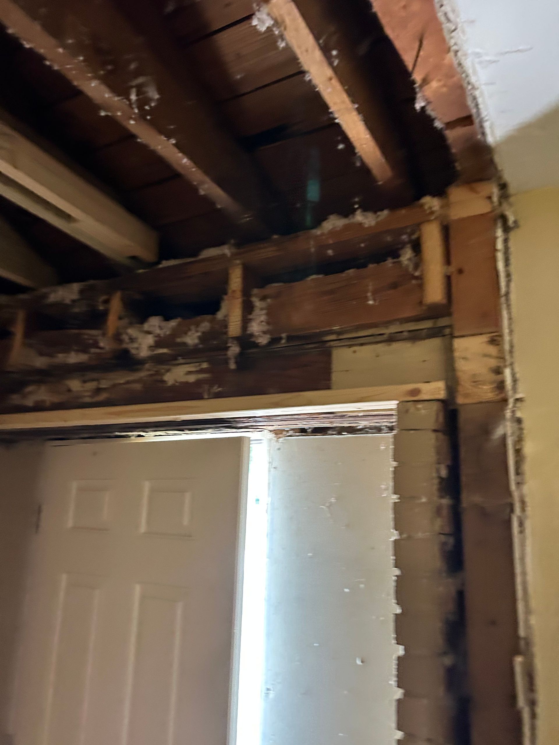Doorway frame with exposed wood and insulation. A partially visible white door is at the bottom.