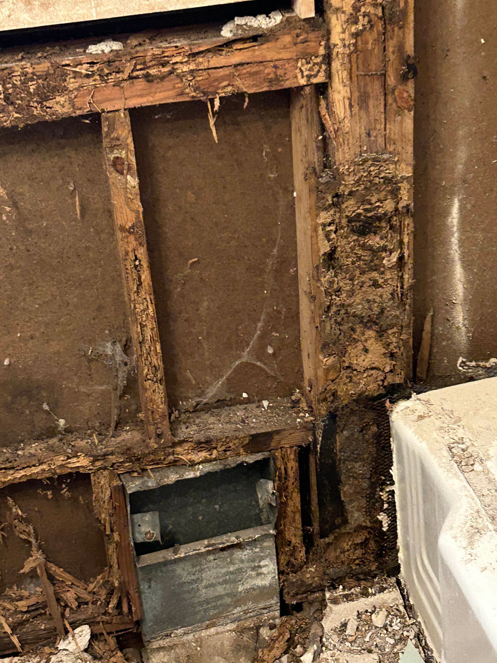 Decayed wood and wall. Brown and black mold, showing significant water damage.