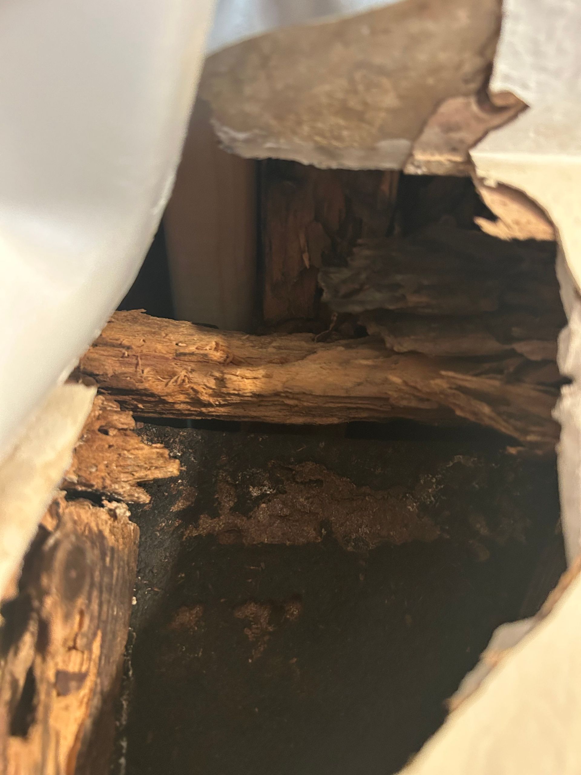 Damaged wood in a wall, showing rot and deterioration. Brown wood with dark areas, a hole.