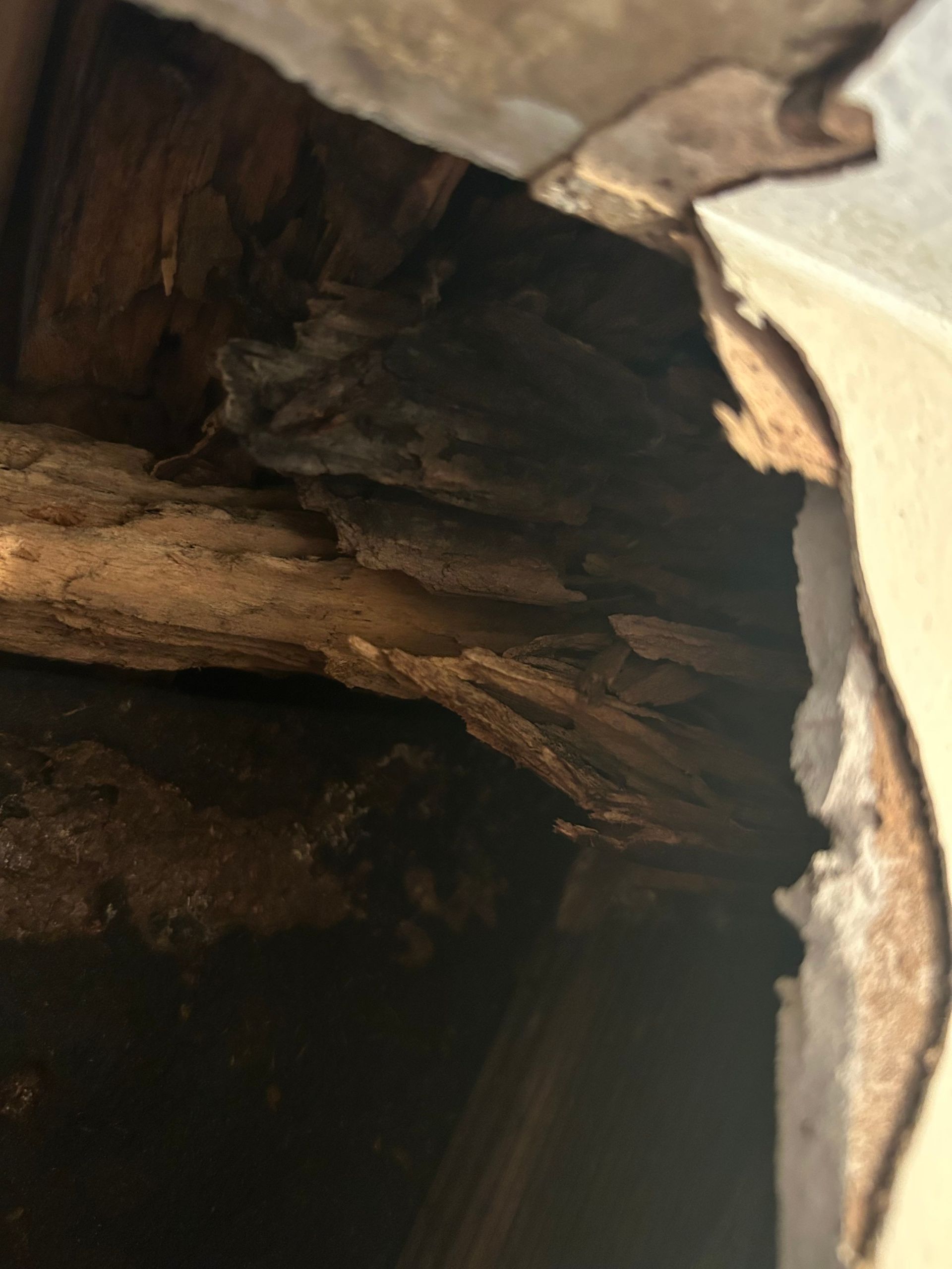 Damaged wooden structure exposed through torn wall, showing decay.