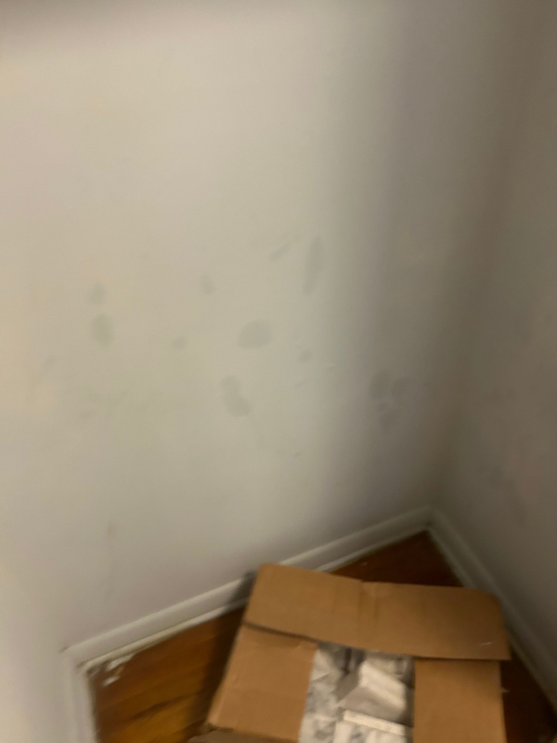 White walls with smudges in a corner; a cardboard box sits on a wood floor.