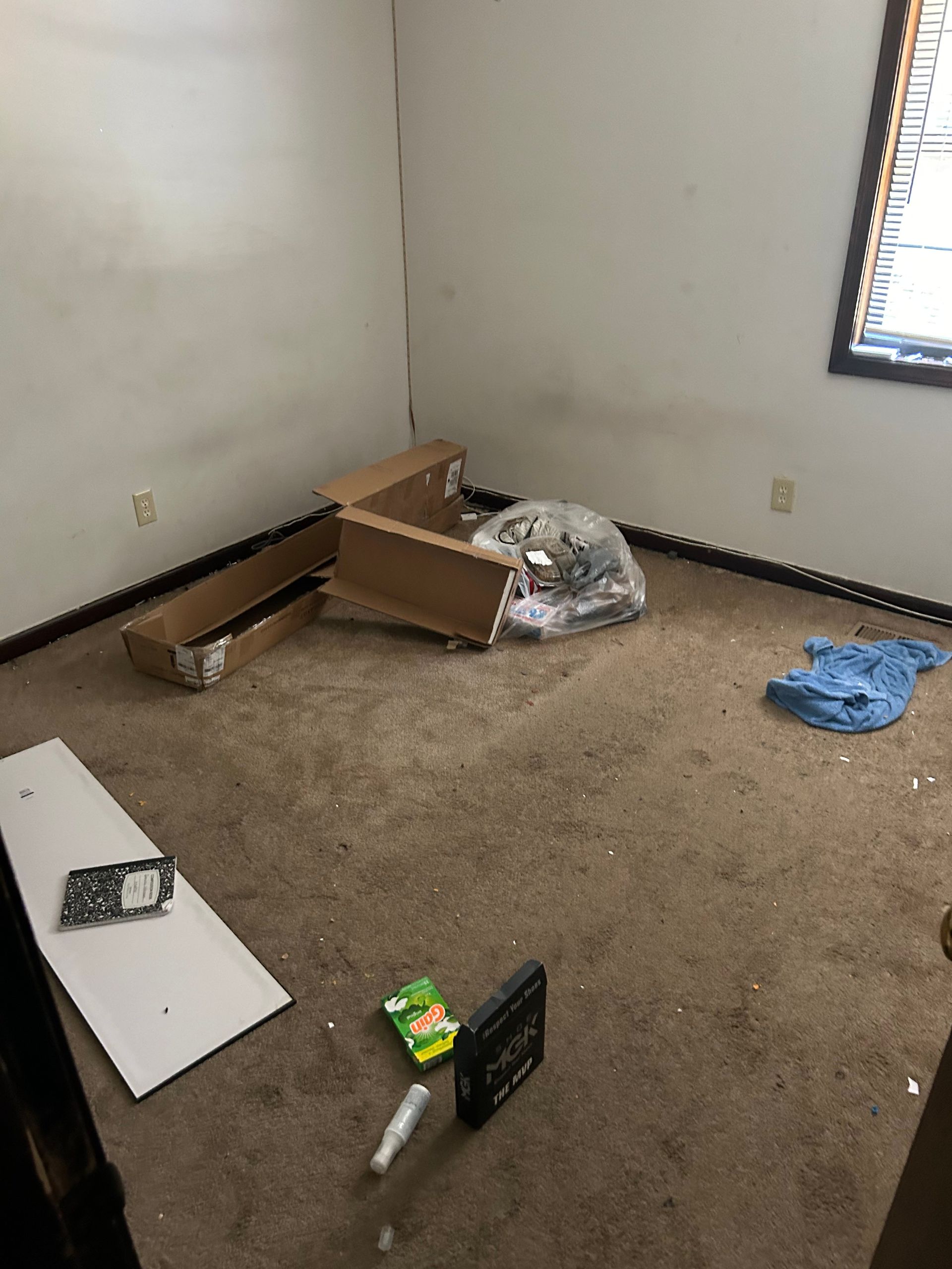 Messy room with cardboard, trash, and debris on stained carpet. A window is on the right.