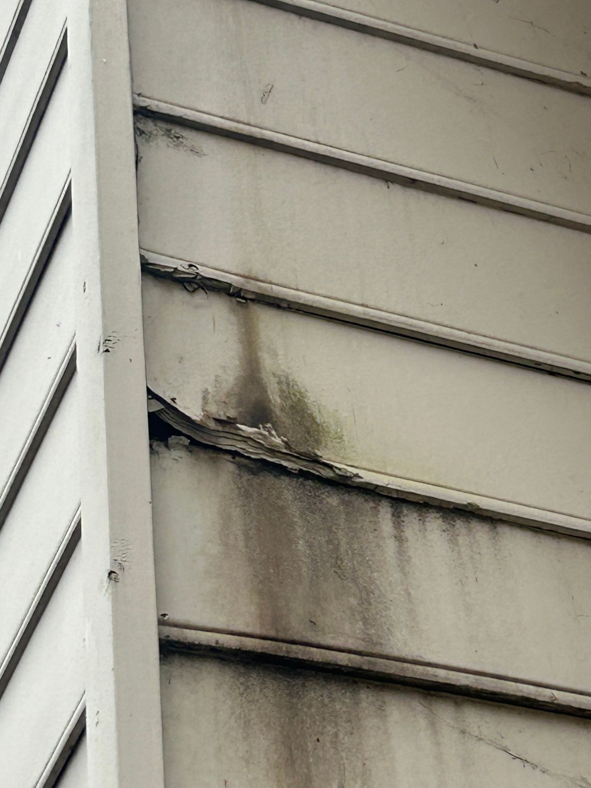 Damaged white siding with dark streaks and a bent piece near a corner.