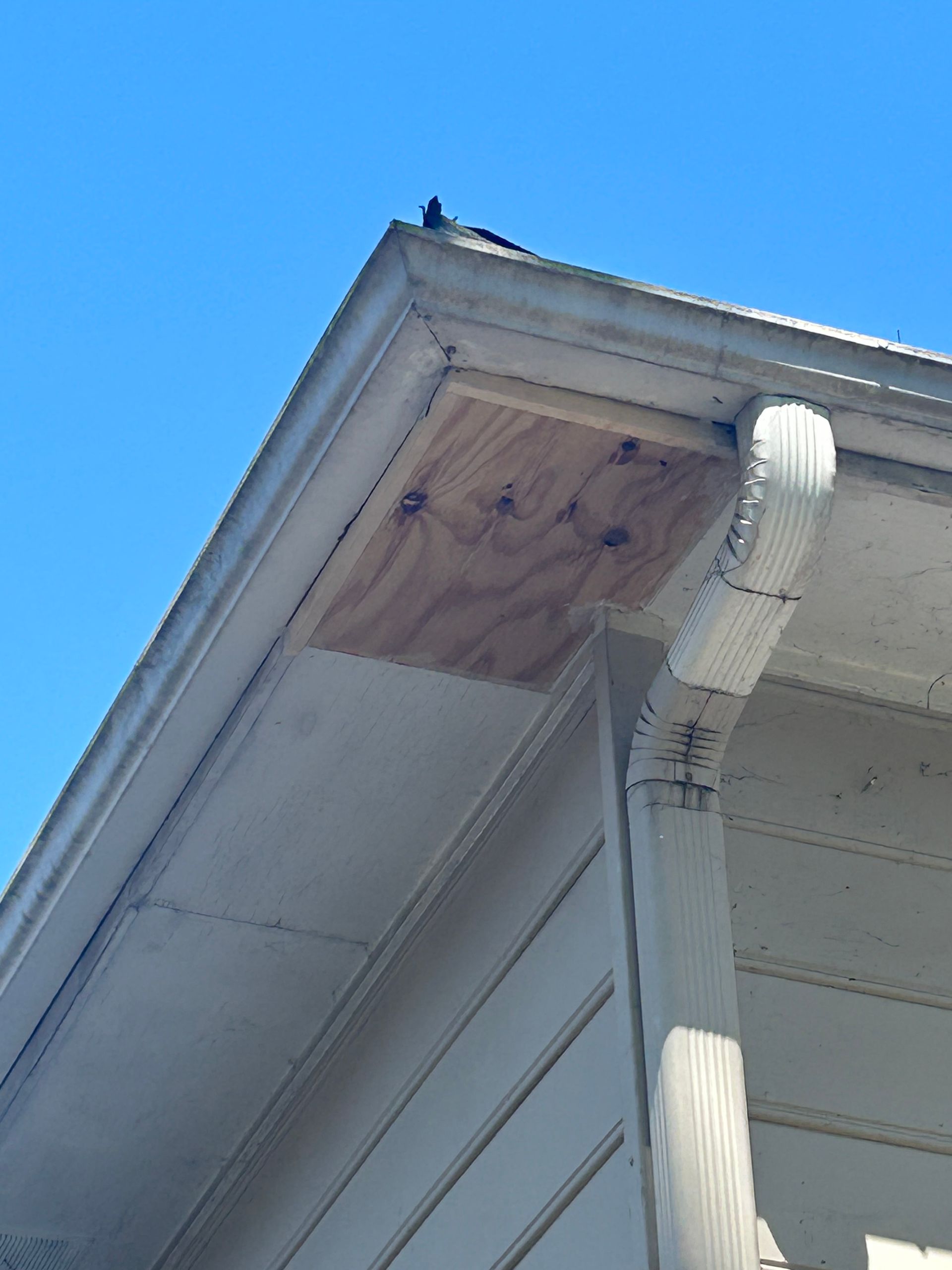 A section of a building's white trim and gutter. A wood patch covers an opening in the soffit.