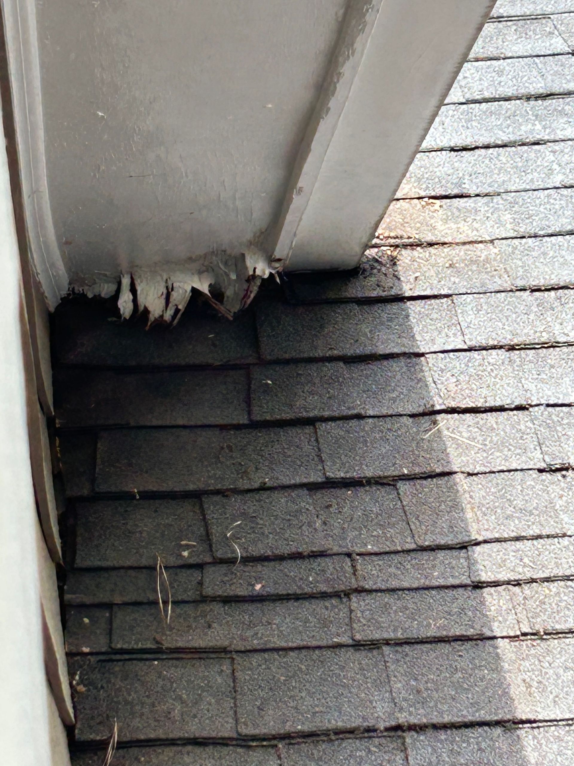 Gray roof shingles under a white soffit with peeling paint.
