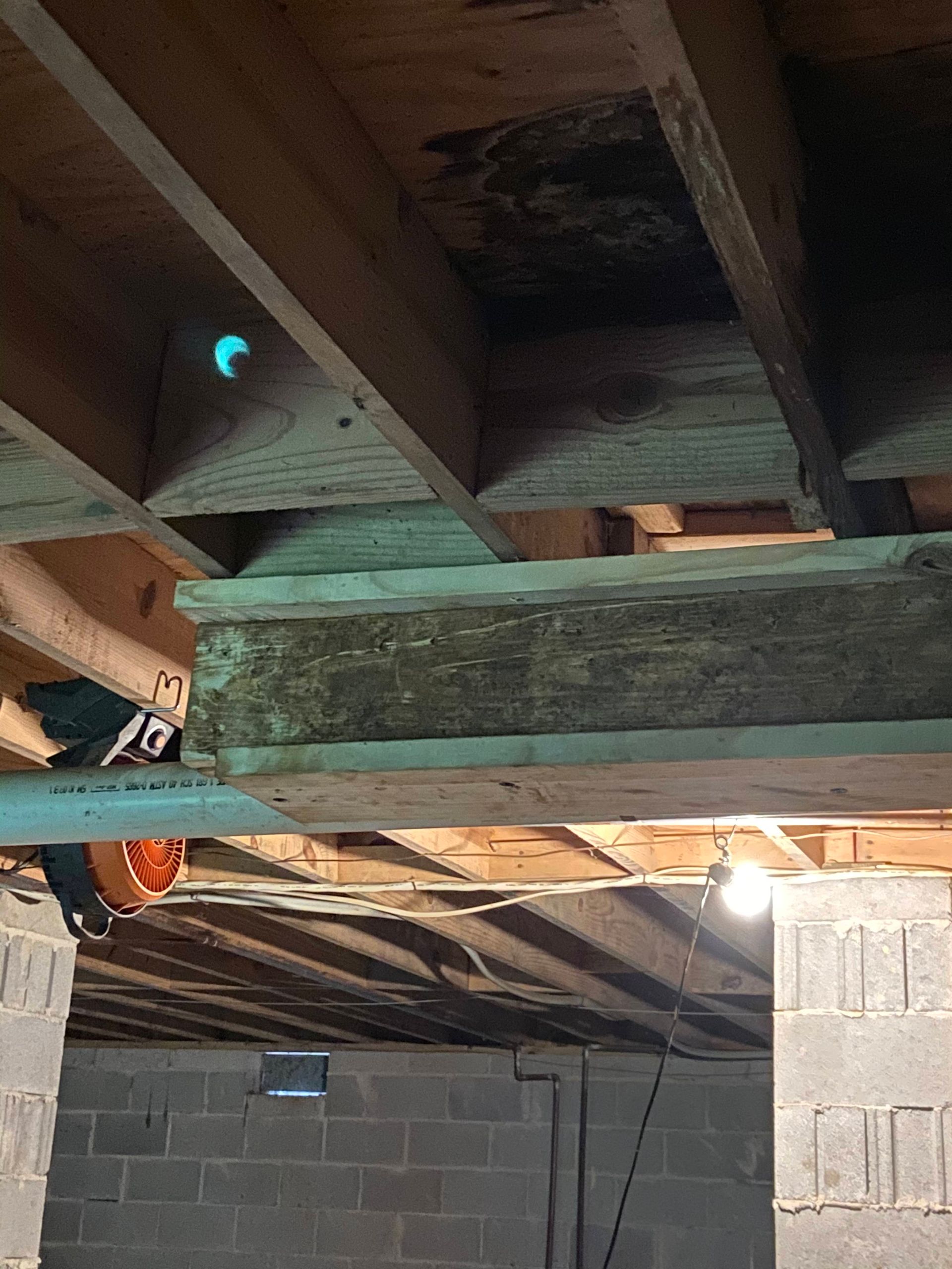 A basement with exposed wooden beams and concrete block walls. A person with a saw is visible, working.