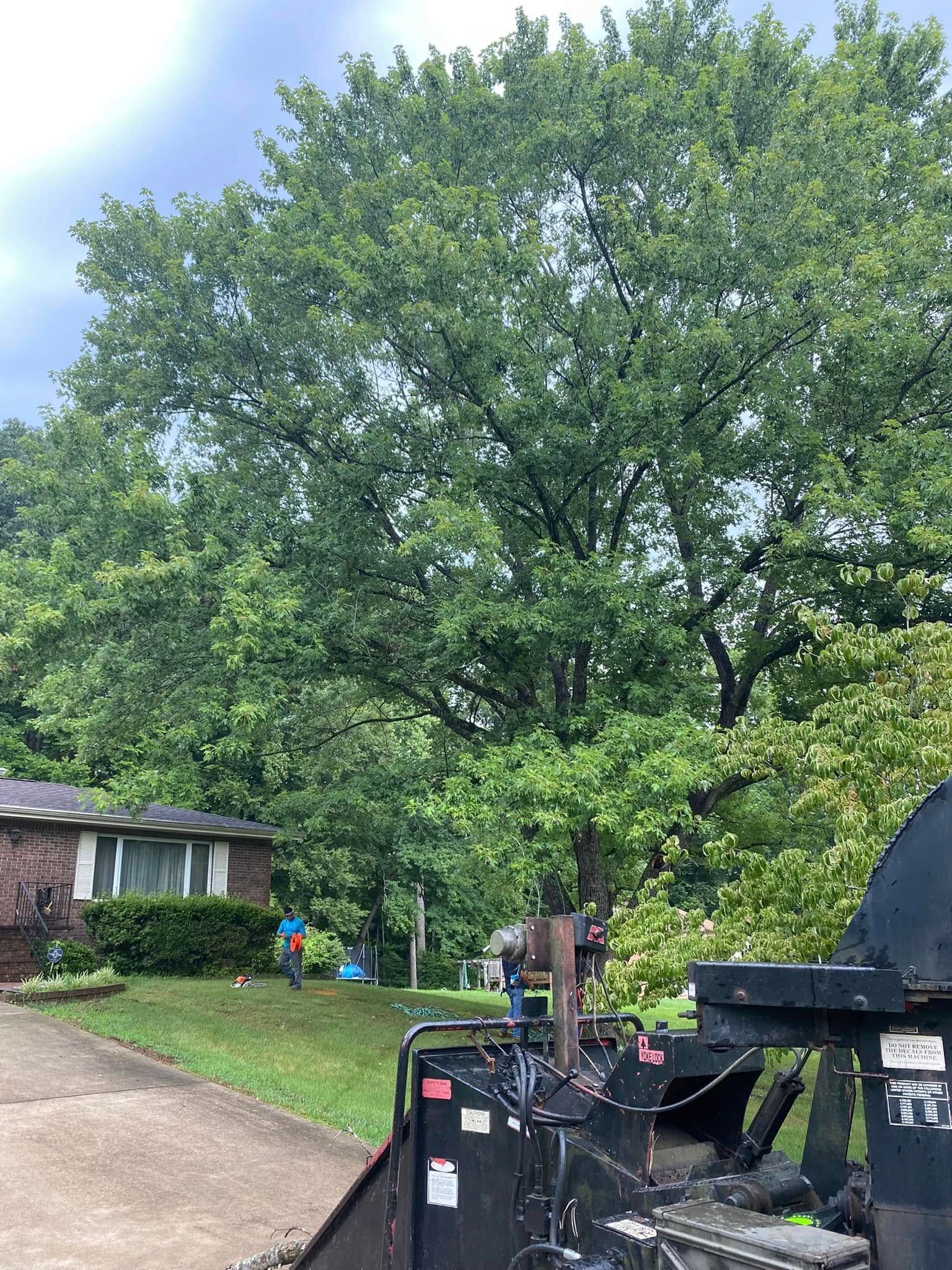 A woodchipper sits in the foreground with a brick house and large, leafy oak tree in the background.