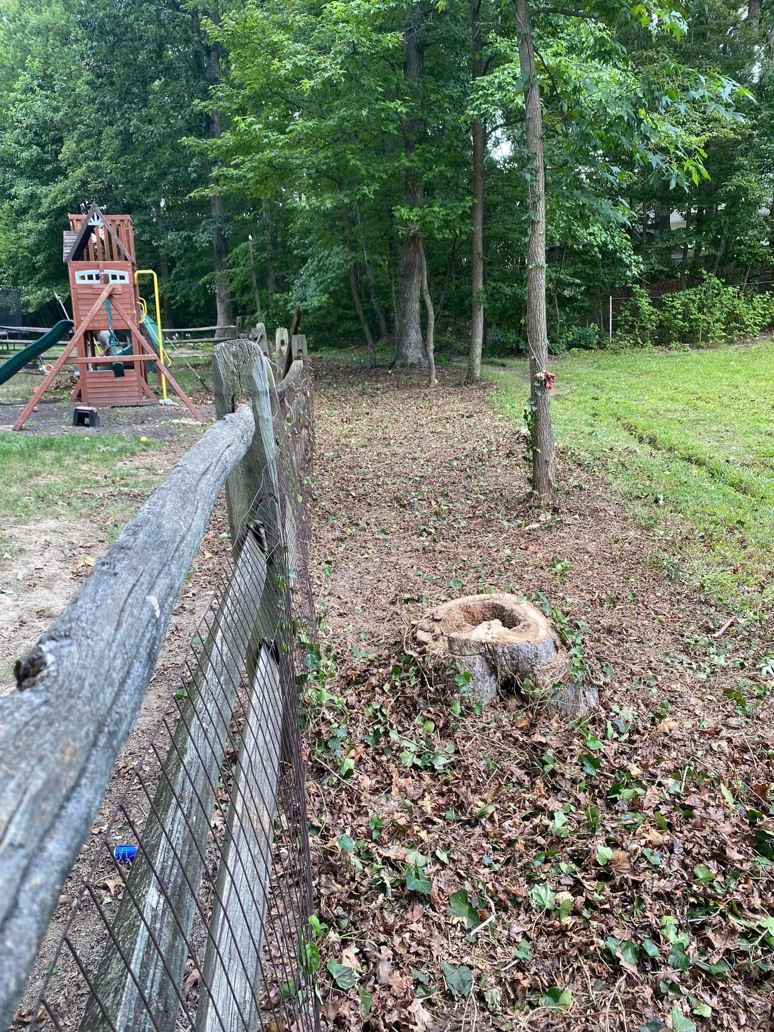 A split-rail fence runs along a leaf-covered area with a tree stump, next to a wooded yard with a wooden playset.