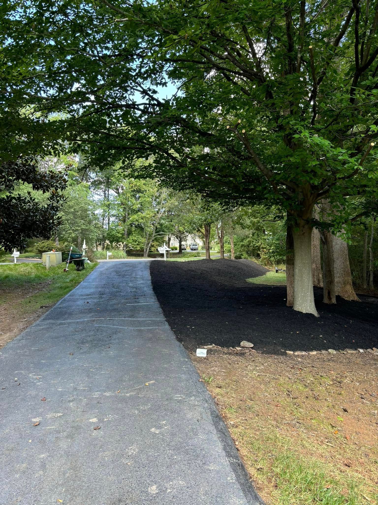 A paved driveway leads toward a house, bordered by a large tree with fresh black mulch spread around its base.