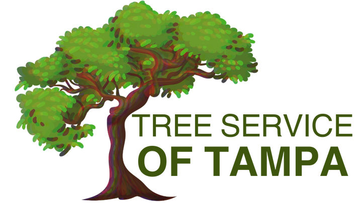 Tree Service of Tampa Logo