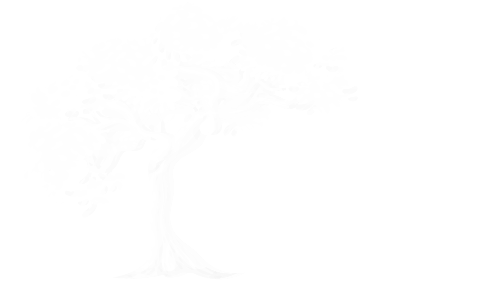 Tree Service of Tampa Logo