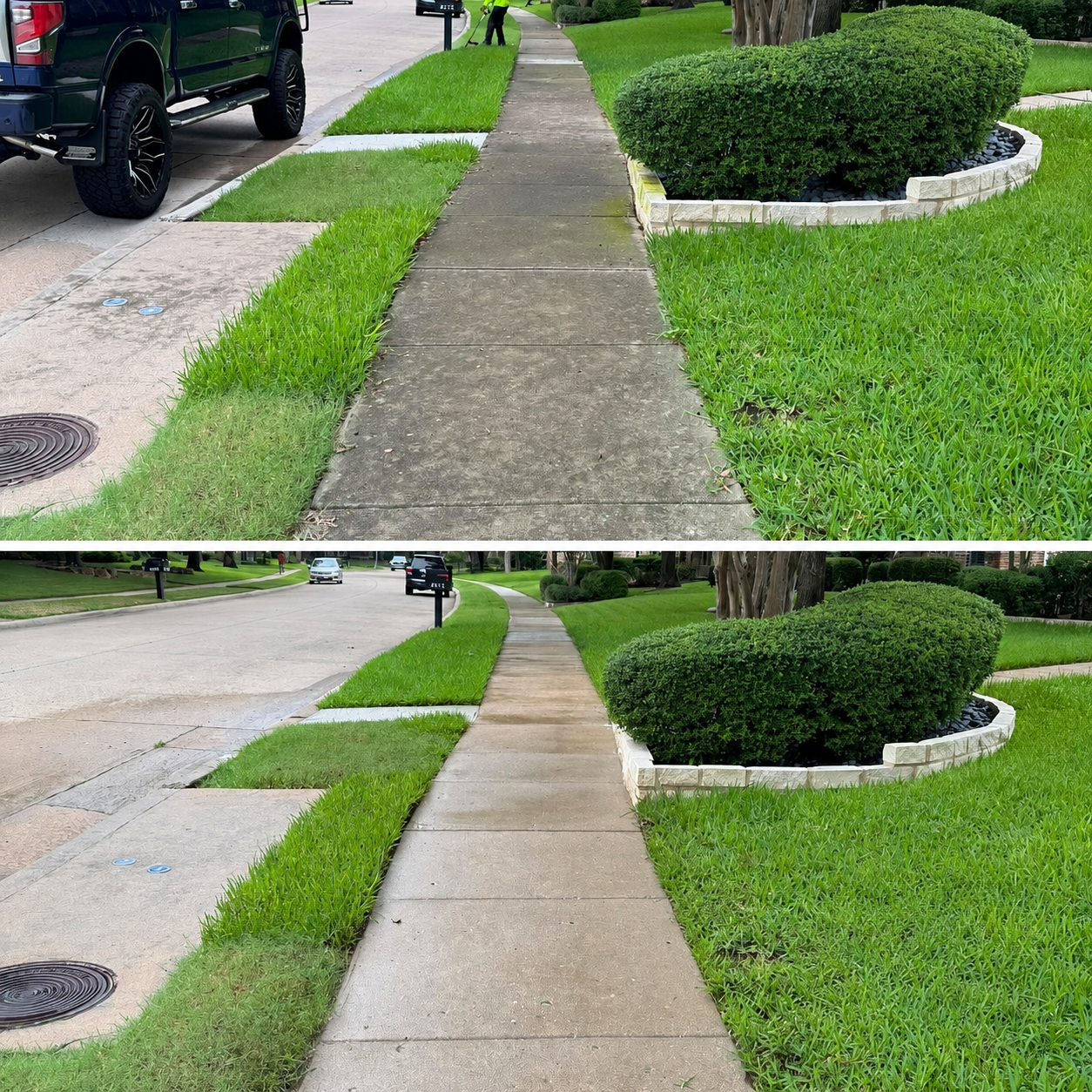 Wet and dry sidewalk beside green grass and trees in a sunny park-like setting