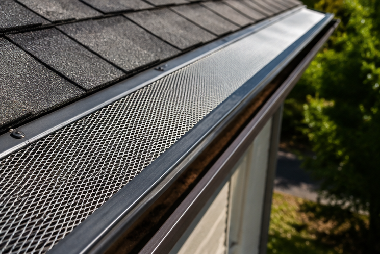 Close-up of a house roof edge with a metal gutter guard beside dark shingles