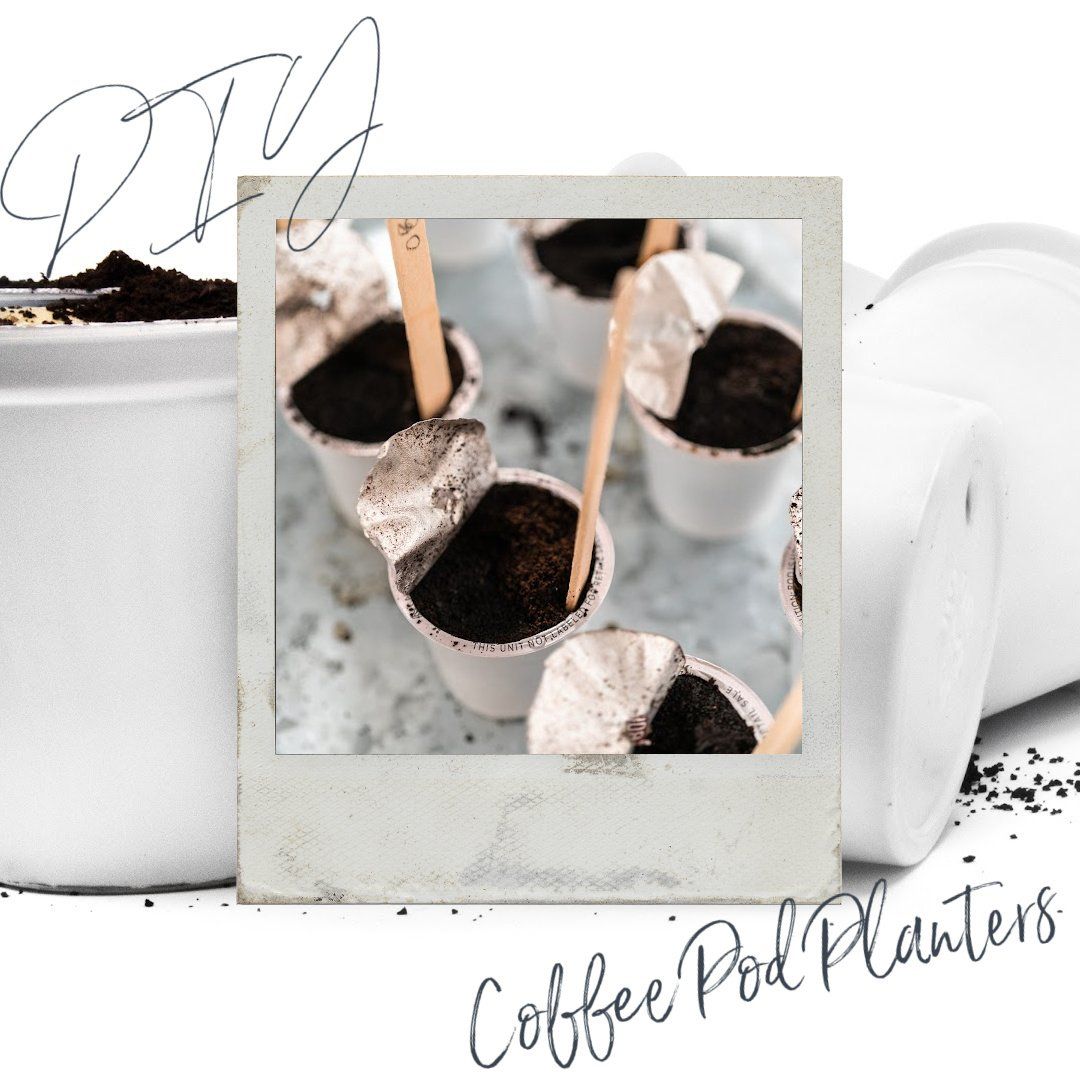 DIY Coffee Pod Planters for National Coffee DAY