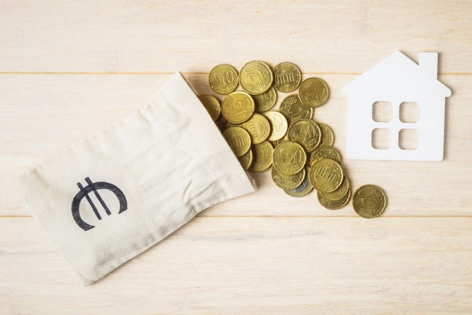 home with coins on the wooden bloc