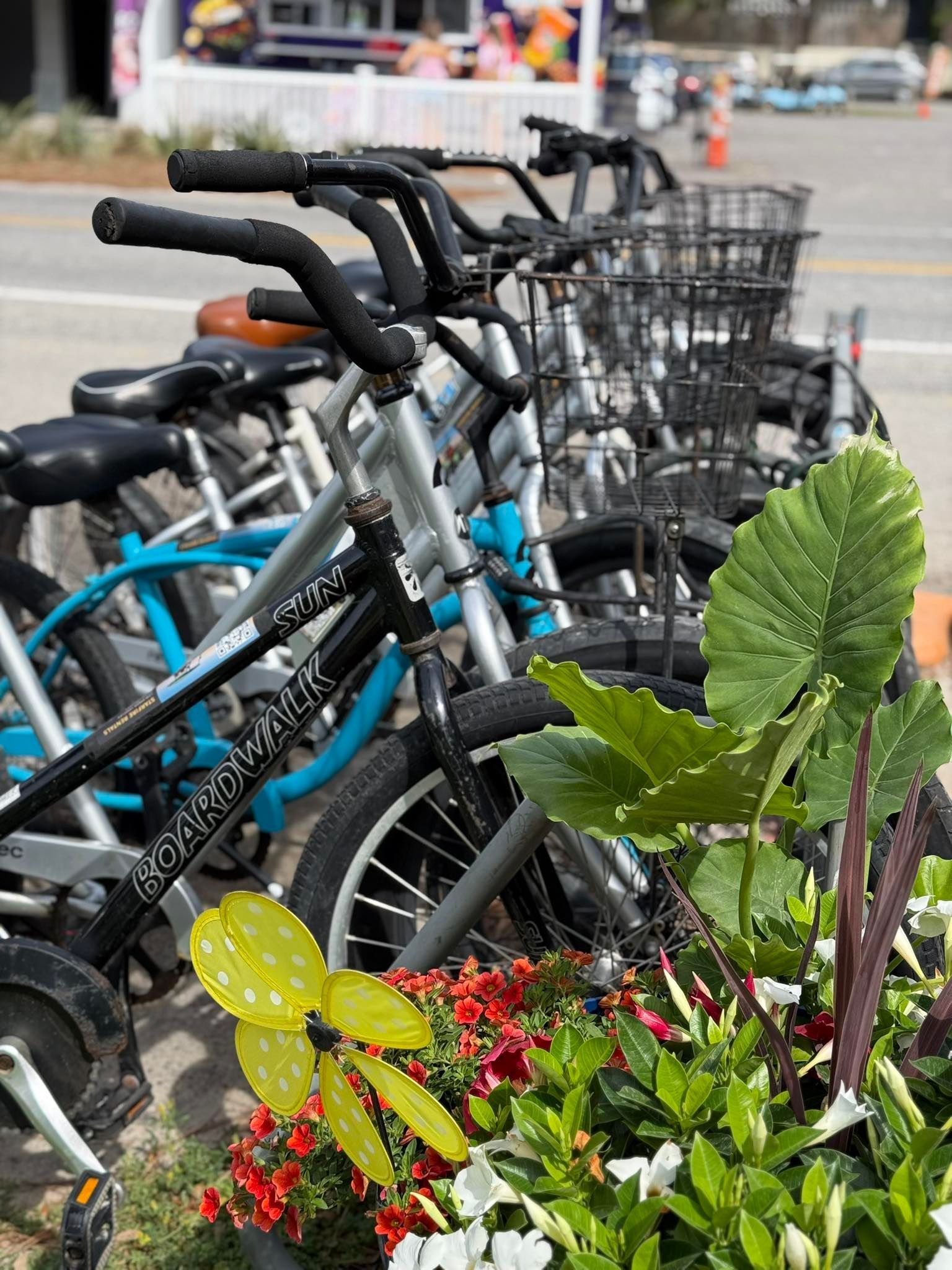 Bicycles with baskets parked next to a flower bed with red and white flowers and a yellow butterfly.