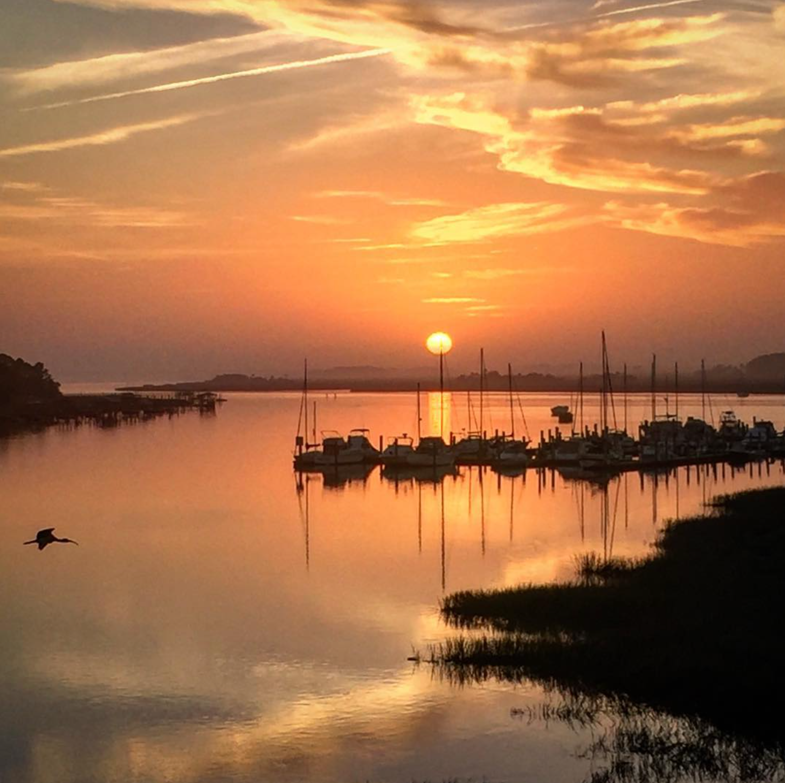 Sunset over a marina, with boats docked and a bird in flight. Orange and gold hues reflect on the water.