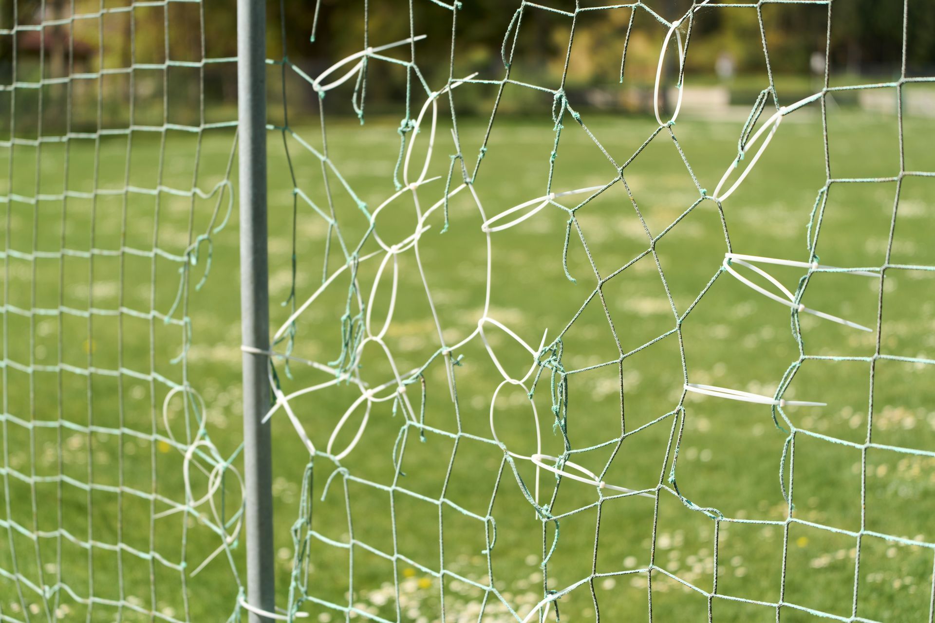 Green field behind broken sports netting.