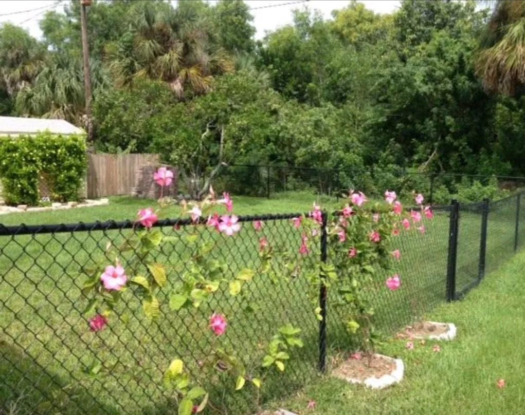 Chain Link Fence — Cape Coral, FL — Premier Fence of SWFL