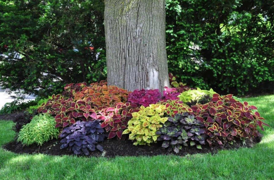 Renew Lighting Creations | Home Lighting | Little Rock Ar