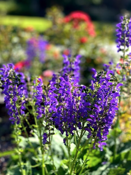 Renew Lighting Creations | Home Lighting | Little Rock ArRenew Lighting Creations | Home Lighting | Little Rock Ar