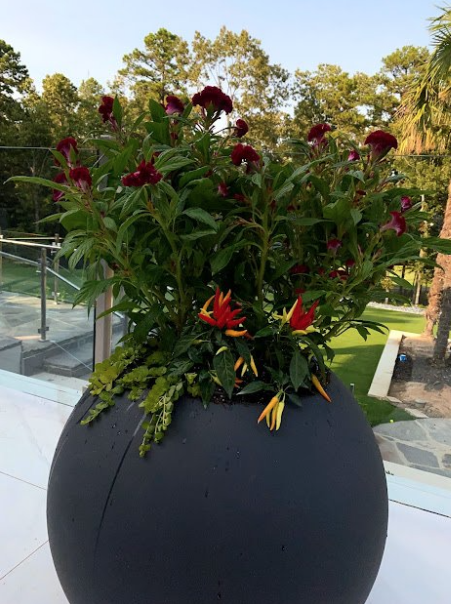 Renew Lighting Creations | Home Lighting | Little Rock Ar