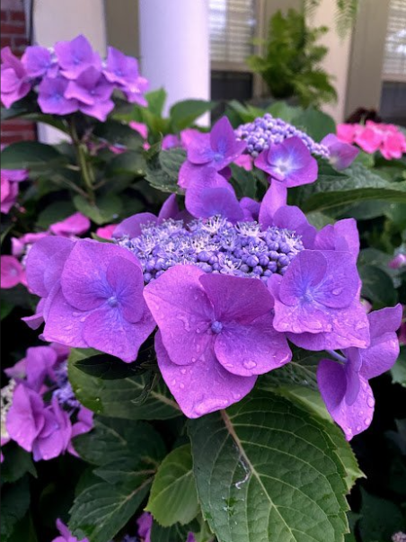 Renew Lighting Creations | Home Lighting | Little Rock Ar